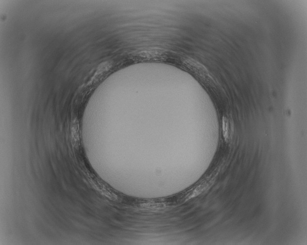 X0000079331107200612151835