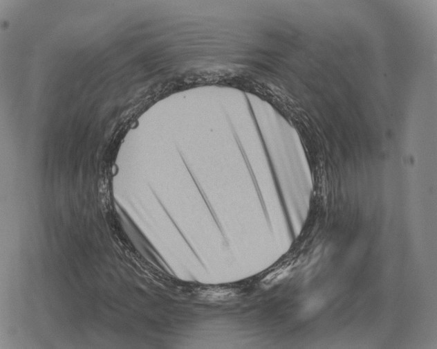 X0000079331109200612151835
