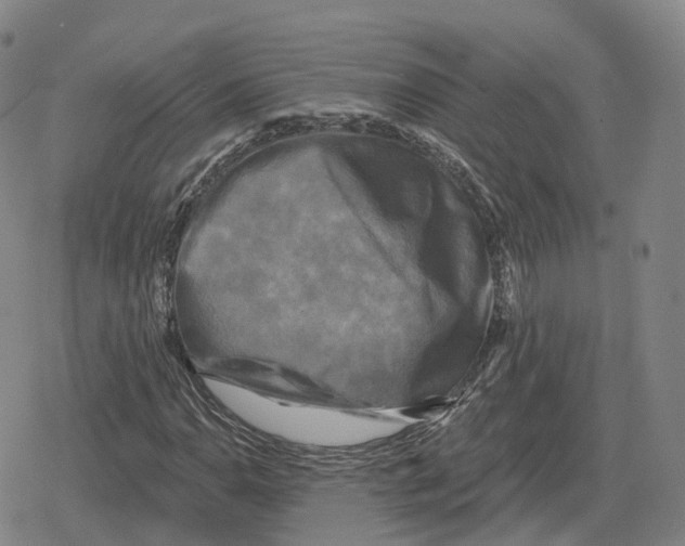 X0000079331110200612151835