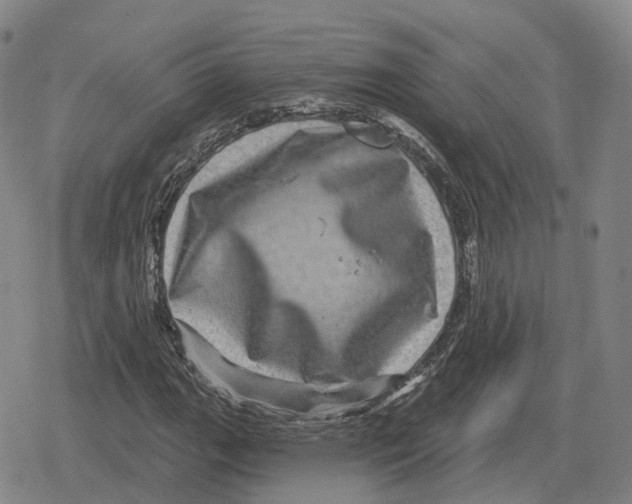 X0000079331111200612151835