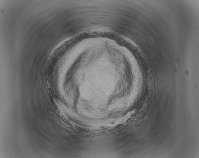 X0000079331112200612151835