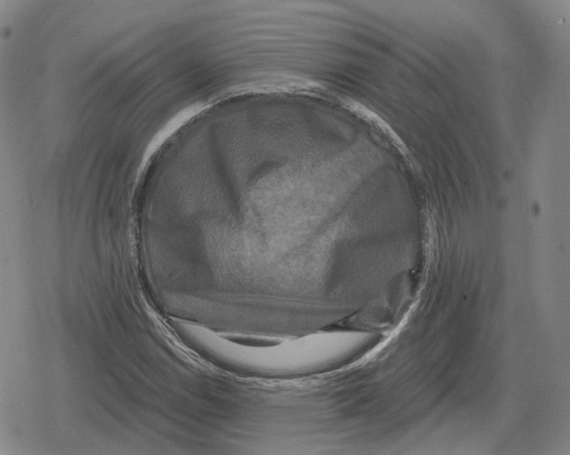 X0000079331114200612151835