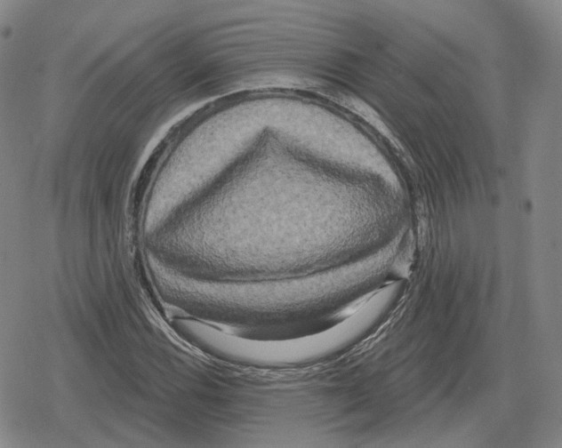 X0000079331116200612151835