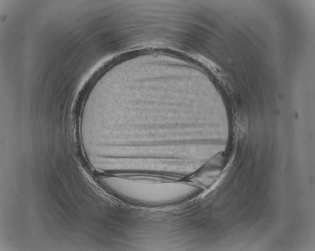 X0000079331118200612151835