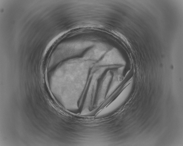 X0000079331120200612151835
