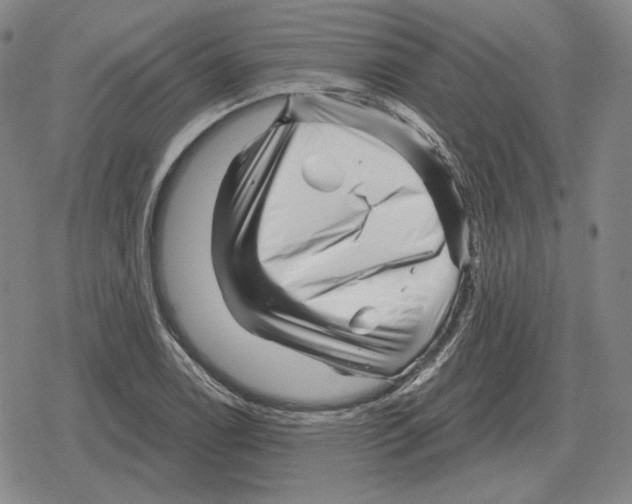 X0000079331122200612151835