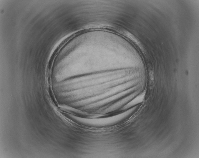 X0000079331124200612151835