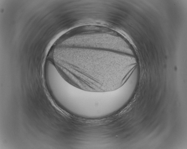 X0000079331128200612151835