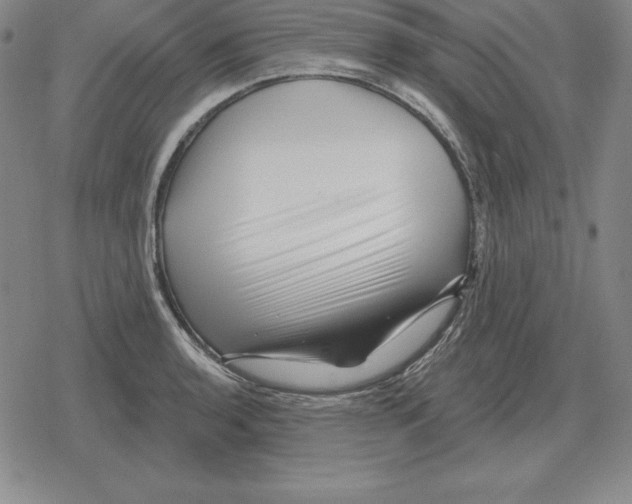 X0000079331136200612151836