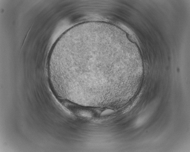 X0000079331141200612151836