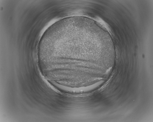 X0000079331142200612151836