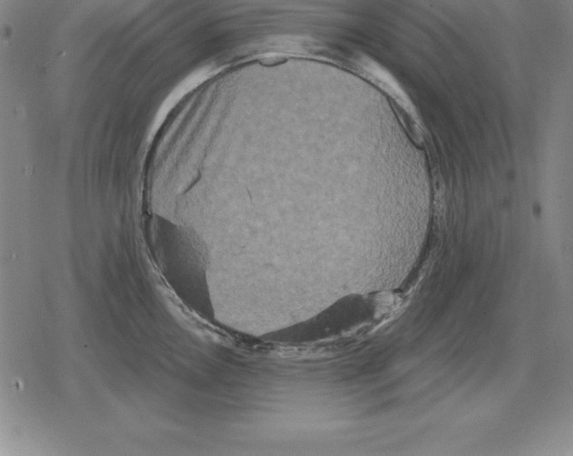 X0000079331146200612151836