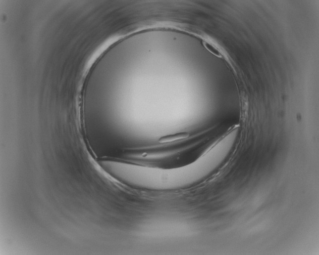 X0000079331151200612151836
