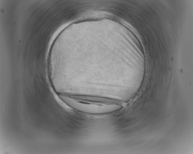 X0000079331152200612151836