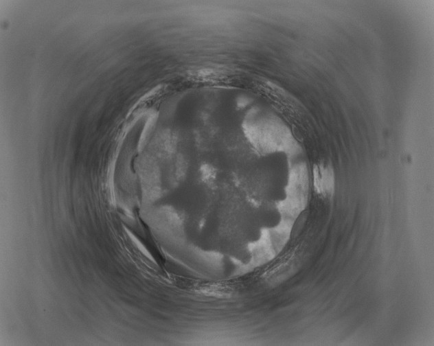 X0000079331155200612151835