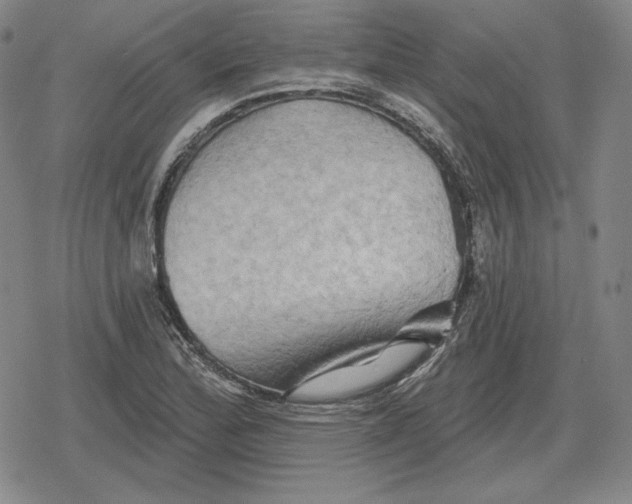 X0000079331172200612151835