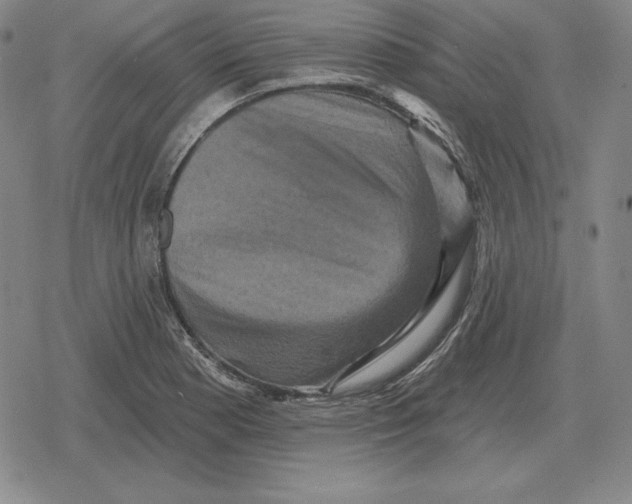 X0000079331177200612151835