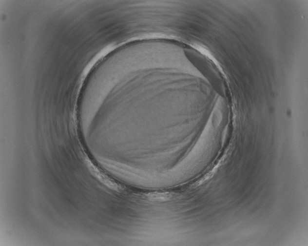 X0000079331181200612151835