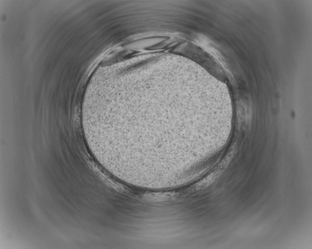 X0000079331185200612151834
