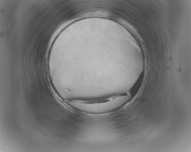 X0000079331200200612151834
