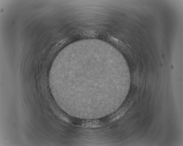 X0000079331201200612151833