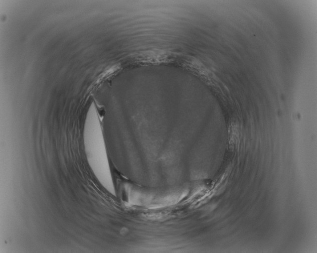 X0000079331202200612151833