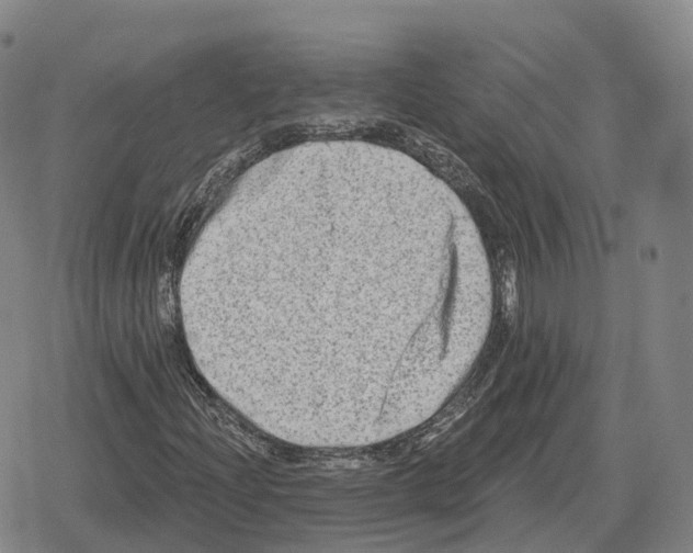 X0000079331204200612151834