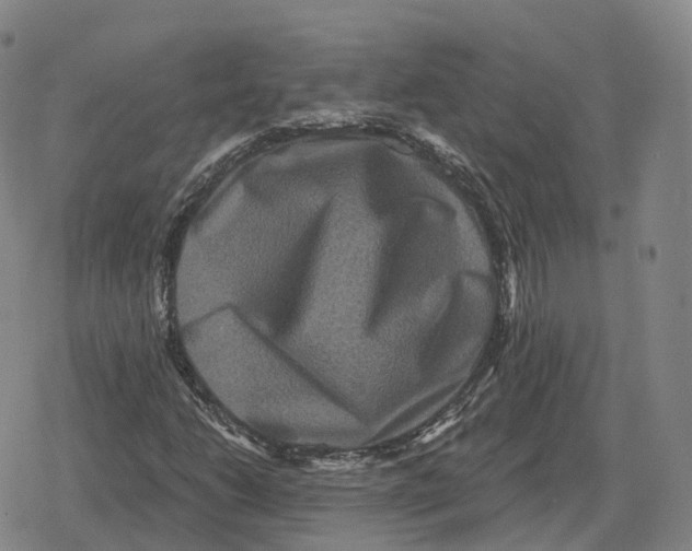 X0000079331206200612151834