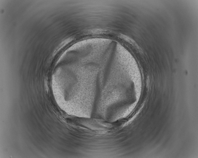 X0000079331209200612151834