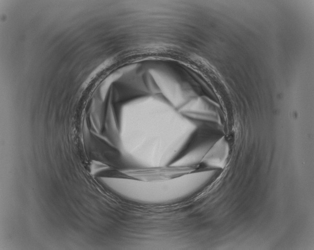 X0000079331210200612151834
