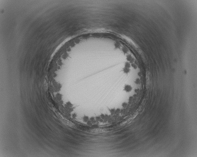 X0000079331212200612151834