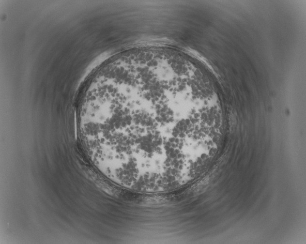 X0000079331219200612151834