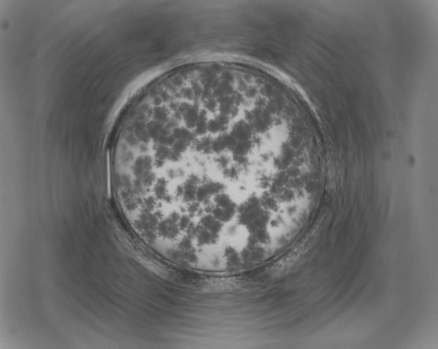 X0000079331223200612151834