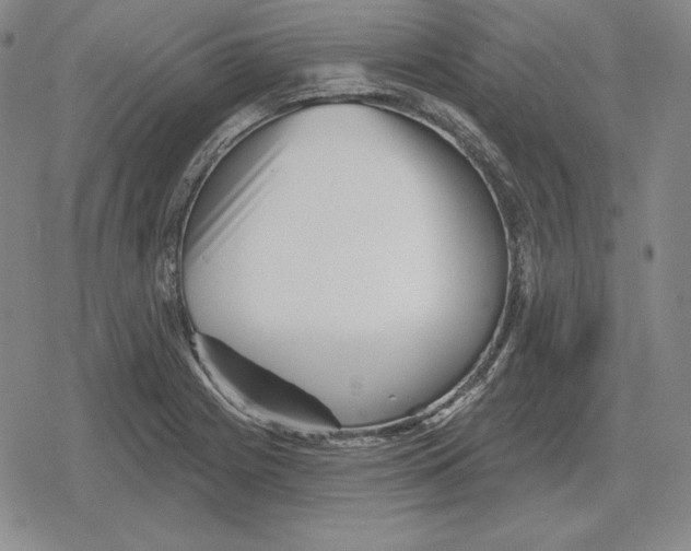 X0000079331225200612151834