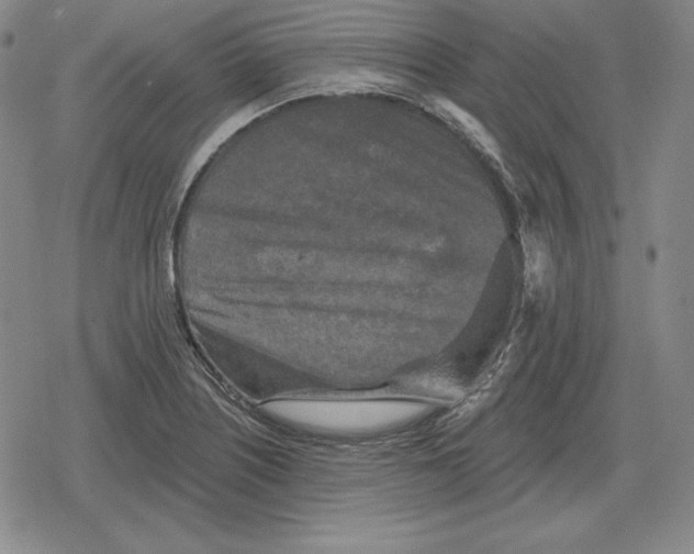 X0000079331226200612151834