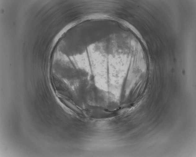 X0000079331245200612151834