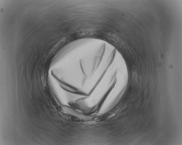 X0000079331250200612151833