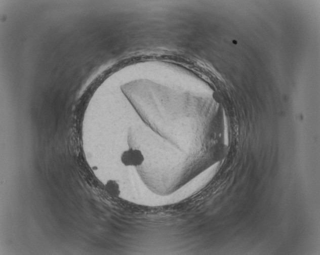 X0000079331256200612151833