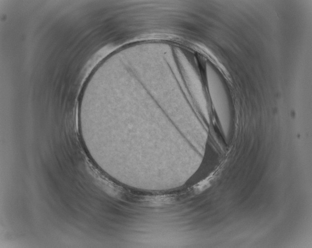 X0000079331276200612151833