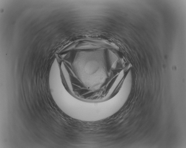 X0000079331298200612151832