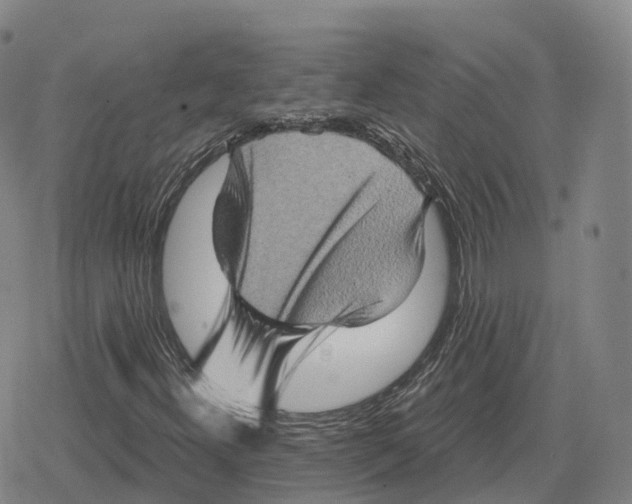 X0000079331300200612151832