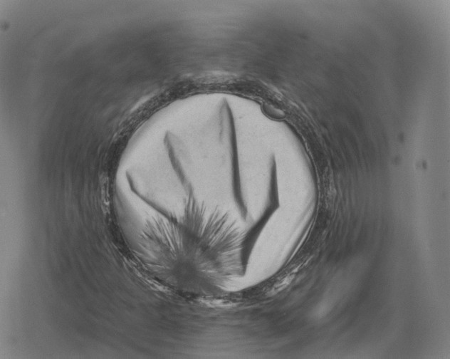 X0000079331301200612151832