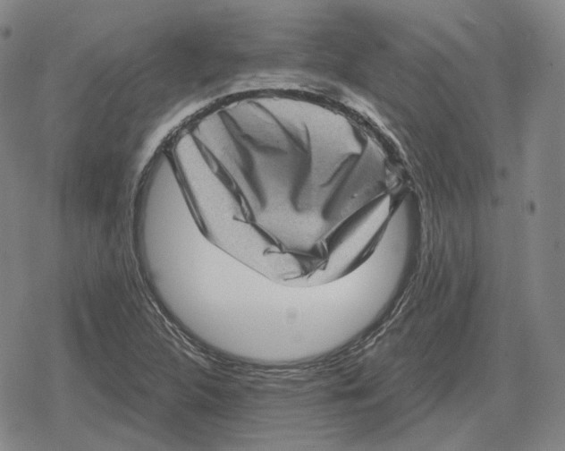 X0000079331312200612151832