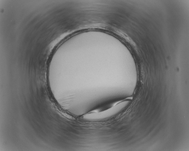 X0000079331316200612151832