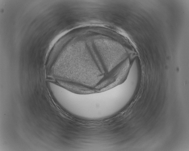 X0000079331320200612151832