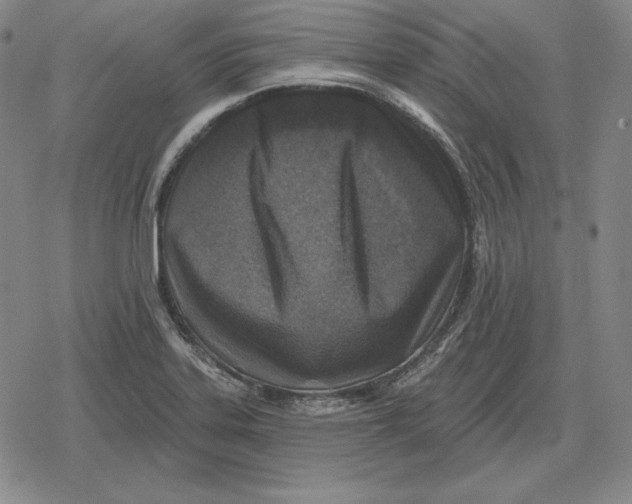X0000079331323200612151832