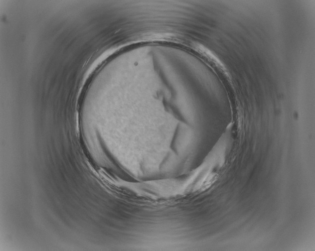 X0000079331324200612151832