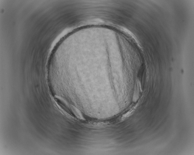 X0000079331326200612151832