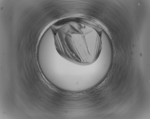 X0000079331332200612151832