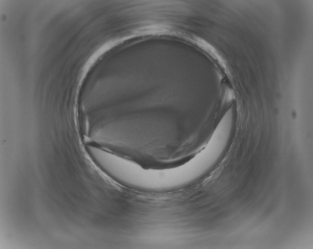 X0000079331334200612151833